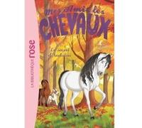 Mes amis les chevaux 19 - Le secret d'Andalou Hachette Livre (Auteur), Natacha Godeau (Adapté), Sophie Thalmann (Présentateur)