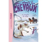 Mes Amis Les Chevaux Tome 25 - La Tempête De Neige