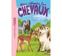 Mes Amis Les Chevaux Tome 28 - Un Invité Surprise