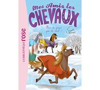 Mes Amis Les Chevaux - Tome 29 - La Blessure De Zéphyr