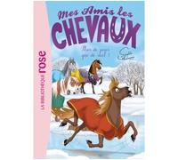 Mes amis les chevaux 29 - Plus de peur que de mal !