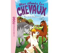 Mes Amis Les Chevaux Tome 31 - Un Sacré Chantier !