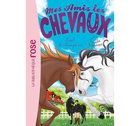 Hachette Livre – Mes amis les chevaux 32 : Duel de champions – Présenté par Sophie Thalmann