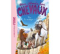 Mes amis les chevaux 33 - Vive la montagne !