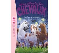 Mes amis les chevaux 40 - La clairière ensorcelée