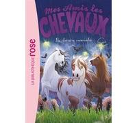 Mes amis les chevaux 40 - La clairière ensorcelée Hachette Livre (Auteur), Sophie Thalmann (Présentateur)