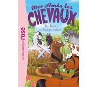Mes amis les chevaux 41 - Un héros au bout du rouleau