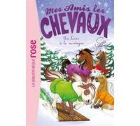 Mes amis les chevaux 44 - Des vacances à la montagne Hachette Livre (Auteur), Catherine Kalengula (Adapté), Sophie Thalmann (Présentateur)