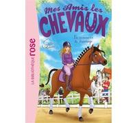 Mes amis les chevaux 45 - Le concours de dressage Hachette Livre (Auteur), Madeleine Féret-Fleury (Adapté), Sophie Thalmann (Présentateur)