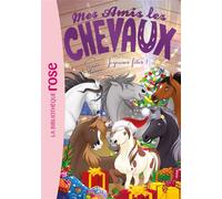 Hachette Livre – Mes amis les chevaux – Tome 47 : Joyeuses fêtes ! – Poche