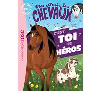 Aventures Sur Mesure - Mes Amis Les Chevaux