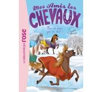Mes Amis Les Chevaux - Tome 29 - La Blessure De Zéphyr