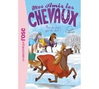 Mes amis les chevaux - Tome 29 - La blessure de Zéphyr