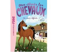 Mes amis les chevaux Tome 3