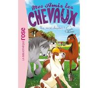 Mes Amis Les Chevaux Tome 31 - Un Sacré Chantier !