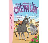 Mes amis les chevaux, tome 4 : Un rival inattendu