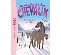 Mes amis les chevaux, tome 7 : La surprise de l'hiver