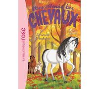 Mes Amis les Chevaux - Volume 19 - Le Secret d'Andalou