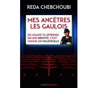Mes ancêtres les Gaulois. Ou quand tu apprends qu'une identité, c'est comme un millefeuille