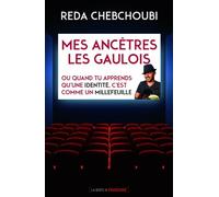 Mes ancêtres les Gaulois. Ou quand tu apprends qu'une identité, c'est comme un millefeuille