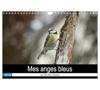 Mes anges bleus en Île-de-France (Calendrier mural 2026 DIN A4 vertical), CALVENDO calendrier mensuel: La mésange bleue dans des postures improbables