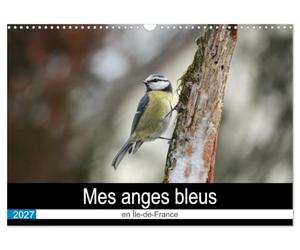 Mes anges bleus en Île-de-France (Calendrier mural 2027 DIN A3 vertical), CALVENDO calendrier mensuel: La mésange bleue dans des postures improbables
