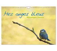Mes anges bleus "mésanges bleues" (Calendrier mural 2025 DIN A4 vertical), CALVENDO calendrier mensuel: Mésanges bleues d'Europe