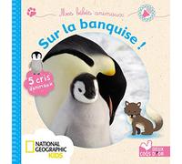 Mes bébés animaux sur la banquise !