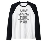Mes canards ne sont pas alignés, je suis presque sûr que l'un d'eux est un pigeon Manche Raglan