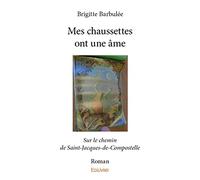 Mes chaussettes ont une âme: Sur le chemin de Saint-Jacques-de-Compostelle - Roman