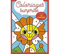 Mes coloriages surprise - Avec les chiffres