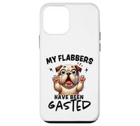 Mes flabbers Ont été dégustés de façon Amusante Coque pour iPhone 12 Mini