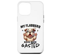 Mes flabbers Ont été dégustés de façon Amusante Coque pour iPhone 12 Pro Max