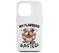 Mes flabbers Ont été dégustés de façon Amusante Coque pour iPhone 13 Pro