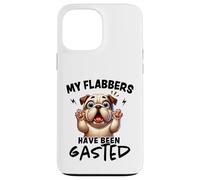 Mes flabbers Ont été dégustés de façon Amusante Coque pour iPhone 13 Pro Max