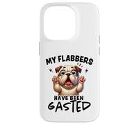 Mes flabbers Ont été dégustés de façon Amusante Coque pour iPhone 14 Pro