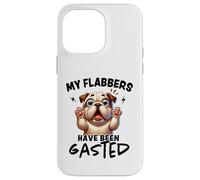 Mes flabbers Ont été dégustés de façon Amusante Coque pour iPhone 14 Pro Max