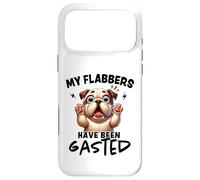Mes flabbers Ont été dégustés de façon Amusante Coque pour iPhone 17 Pro Max