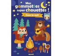 Mes gommettes super chouettes ! Dans la nuit Collectif (Illustration), Collectif (Auteur)