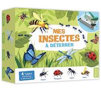 Mes insectes à déterrer
