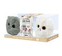 Mes jolis chatons anti-froid