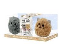 Mes jolis chatons anti-froid