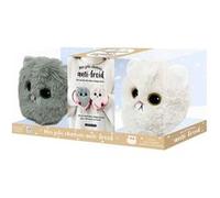 Mes jolis chatons anti-froid Collectif (Auteur)