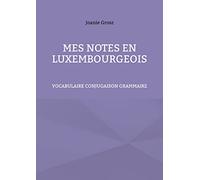 Mes notes en luxembourgeois: vocabulaire, conjugaison et grammaire