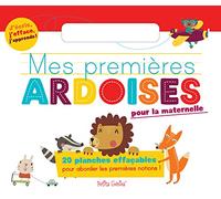 Mes Premières Ardoises Pour La Maternelle - 20 Planches Effaçables Pour Aborder Les Premières Notions ! Avec 1 Feutre Effaçable