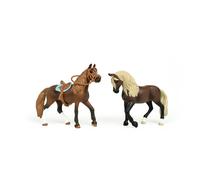 Mes Premiers chevaux Paso Péruvien