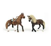 Mes premiers chevaux - paso péruvien Marron G