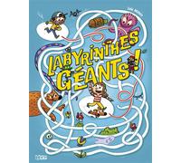 Mes super jeux labyrinthes - Loïc Méhée - Lito - broché - Livre-jeu