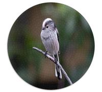 Mésange à Longue Queue Puzzle 1000 Pièces Puzzle pour Adultes Rond Papier Branche Forêt