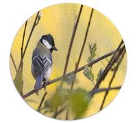 Mésange à Tête Noire Sauvage Puzzle 1000 Pièces Rond Papier pour Adultes Branche Printanière